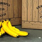 fake bananas and boxes props